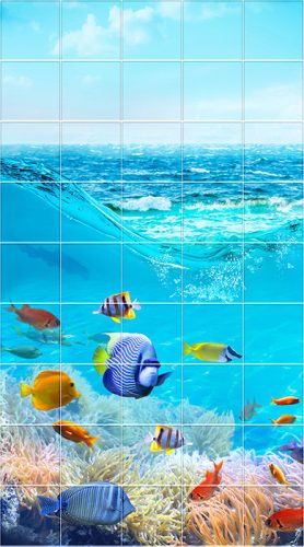 Tile mural with tropical fish and coral reef in the blue ocean